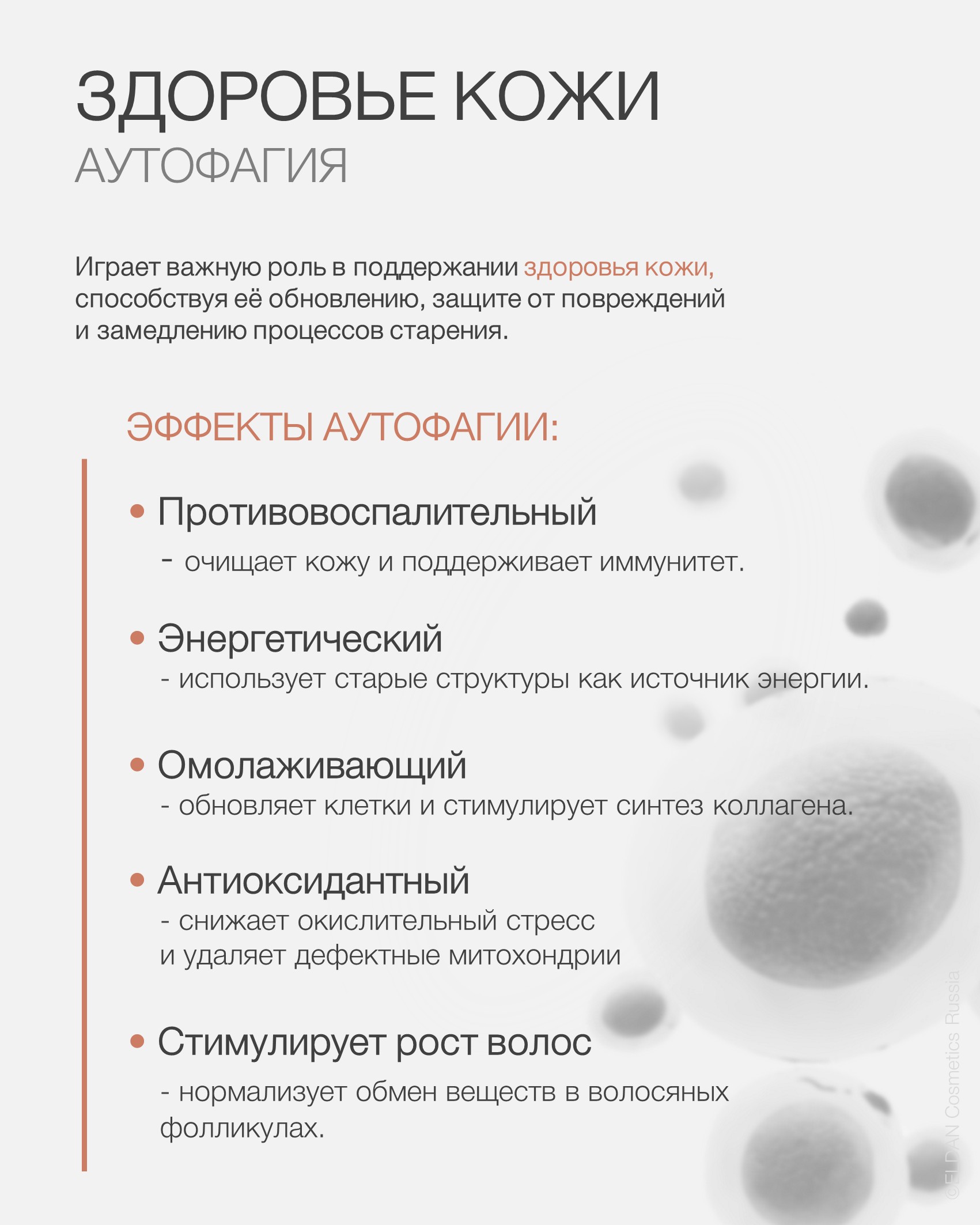 Пост аутофагия 3.jpg